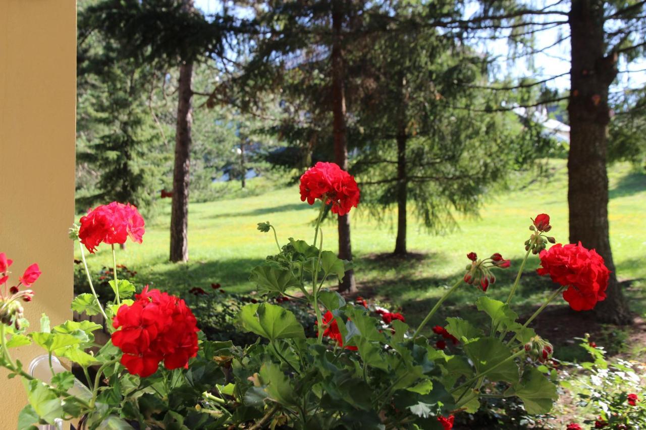 Hotel President Garni Zlatibor Exteriér fotografie